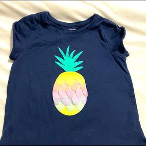 Pineapple t-shirt, size 6x